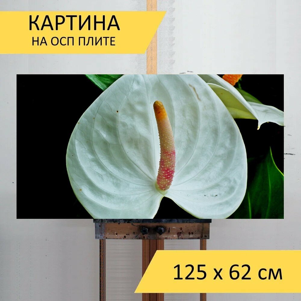 Картина на ОСП 125х62 см. 