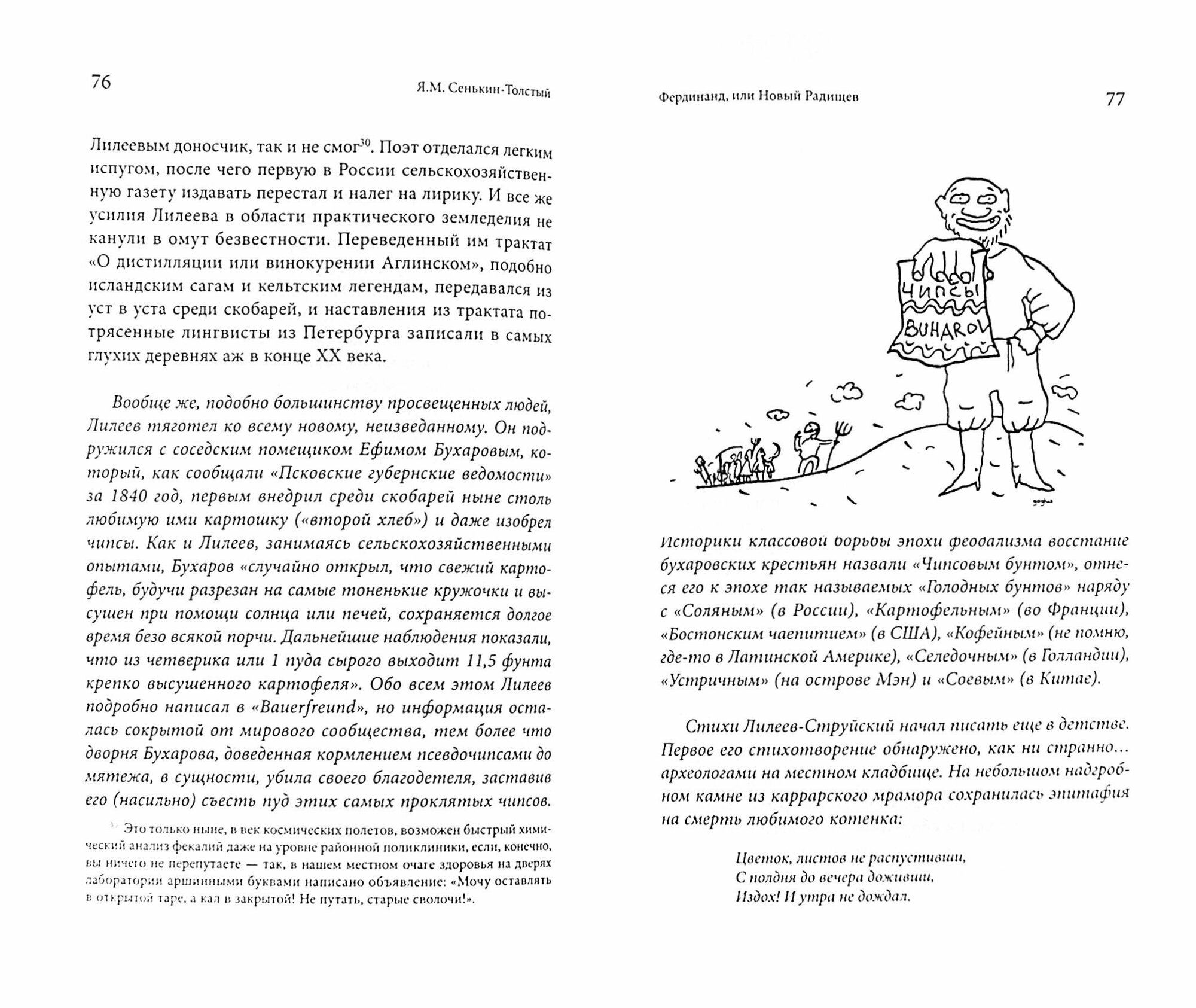 Фердинанд, или Новый Радищев (Сенькин-Толстый Я.) - фото №2