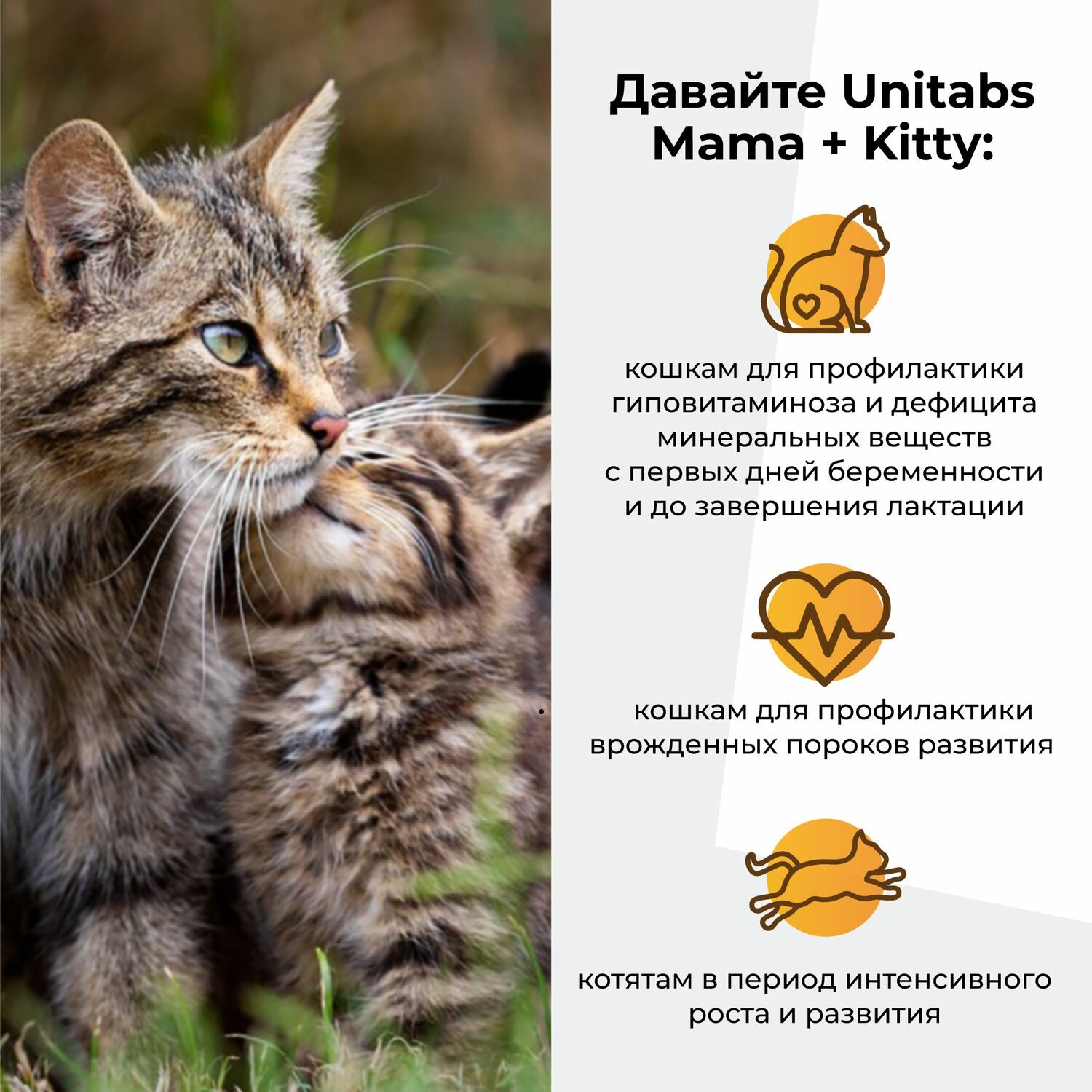 Изображение Витамины для кошек и котят Unitabs Mama+Kitty c B9, 200 таблеток