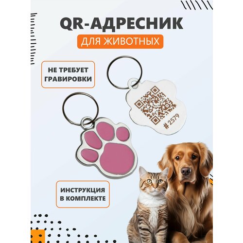 QR адресник Лапка для кошек и собак