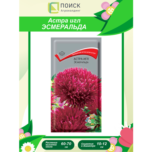 Семена Астра Игл Эсмеральда однолетние 0,2 гр.