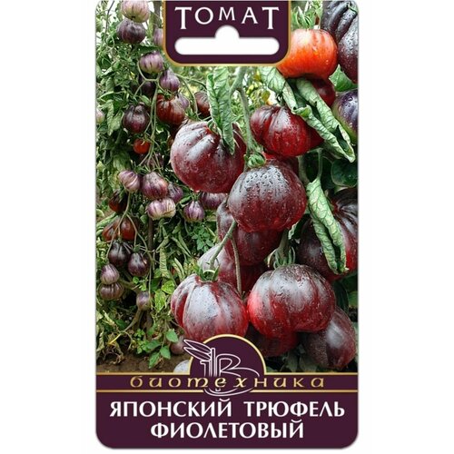 Томат Японский трюфель Фиолетовый 20шт /5