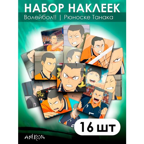 Наклейки Волейбол Рюноске Танака 16 шт наклейки волейбол