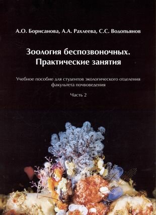 Зоология беспозвоночных Практические занятия Учебное пособие для студентов экологического отделения факультета почвоведения Часть 2 - фото №1
