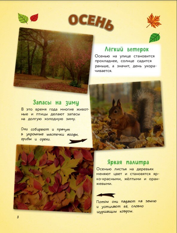 Обо всем на свете! Большая энциклопедия для маленьких - фото №6