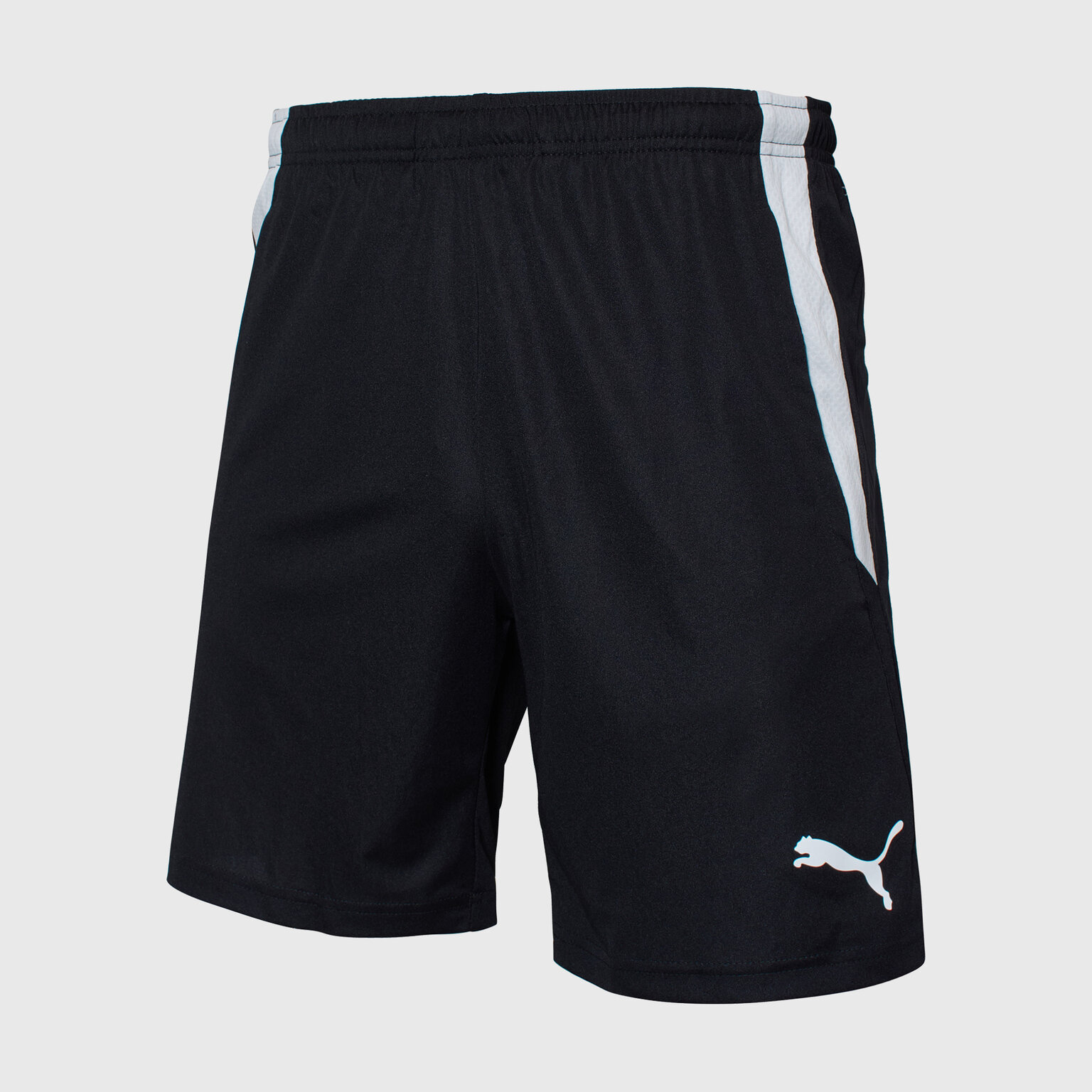 Шорты PUMA Teamliga Training Shorts 2