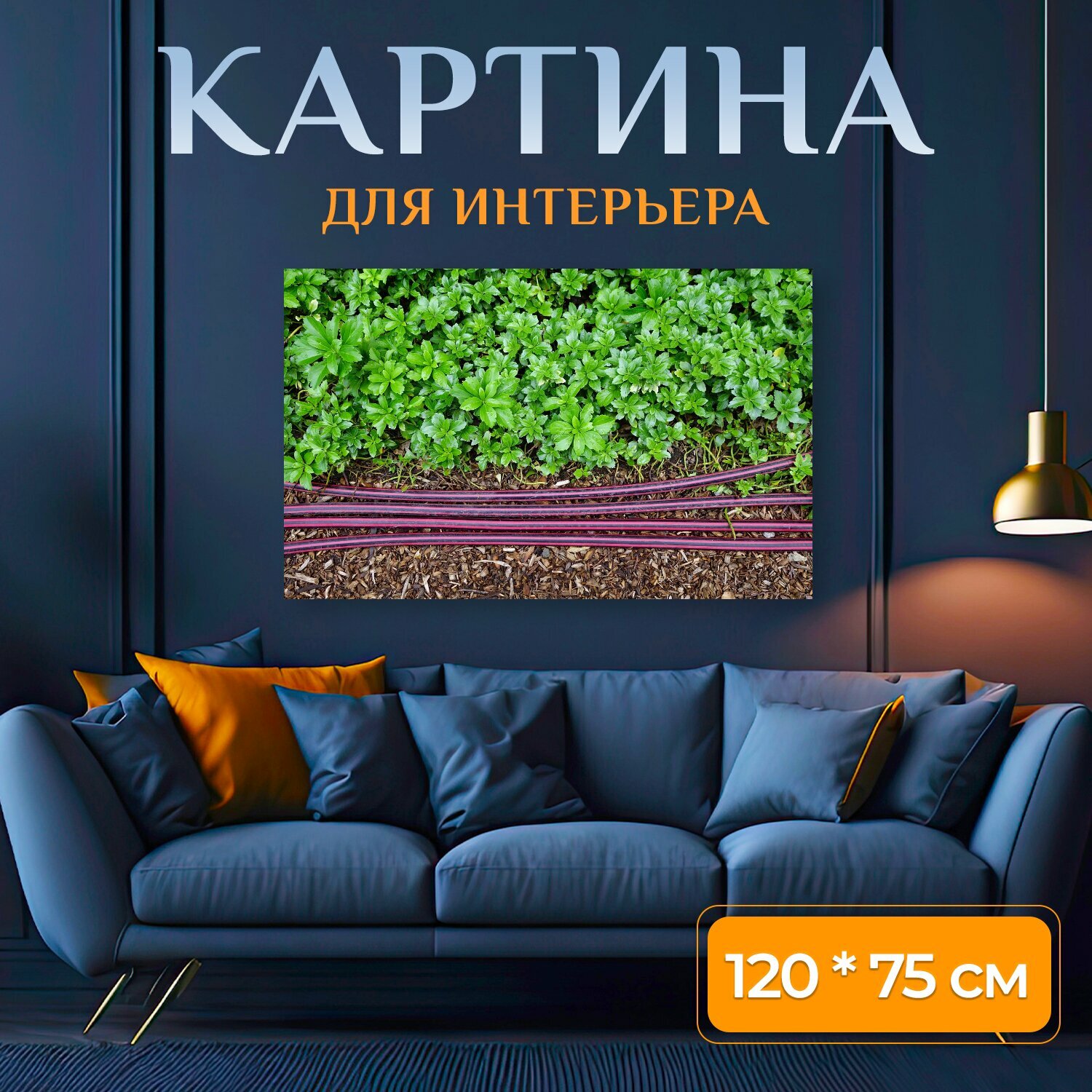 Картина на холсте "Садовый шланг садовые шланги, шланг, орошение" на подрамнике 120х75 см. для интерьера