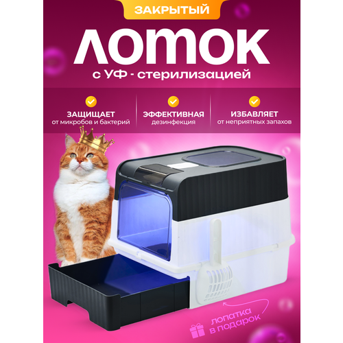 Лоток для кошек большой, закрытый кошачий туалет, домик
