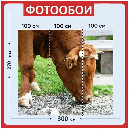 Фотообои Корова пастбище коричневый 300x270 см флизелиновыена стену 2940₽