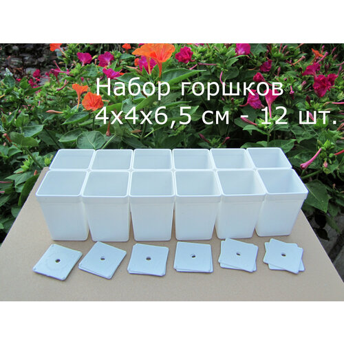 Горшки для суккулентов квадратные со съемным донышком. 4 х 4 х 6,5 см, белые, набор 12/24/36 шт.