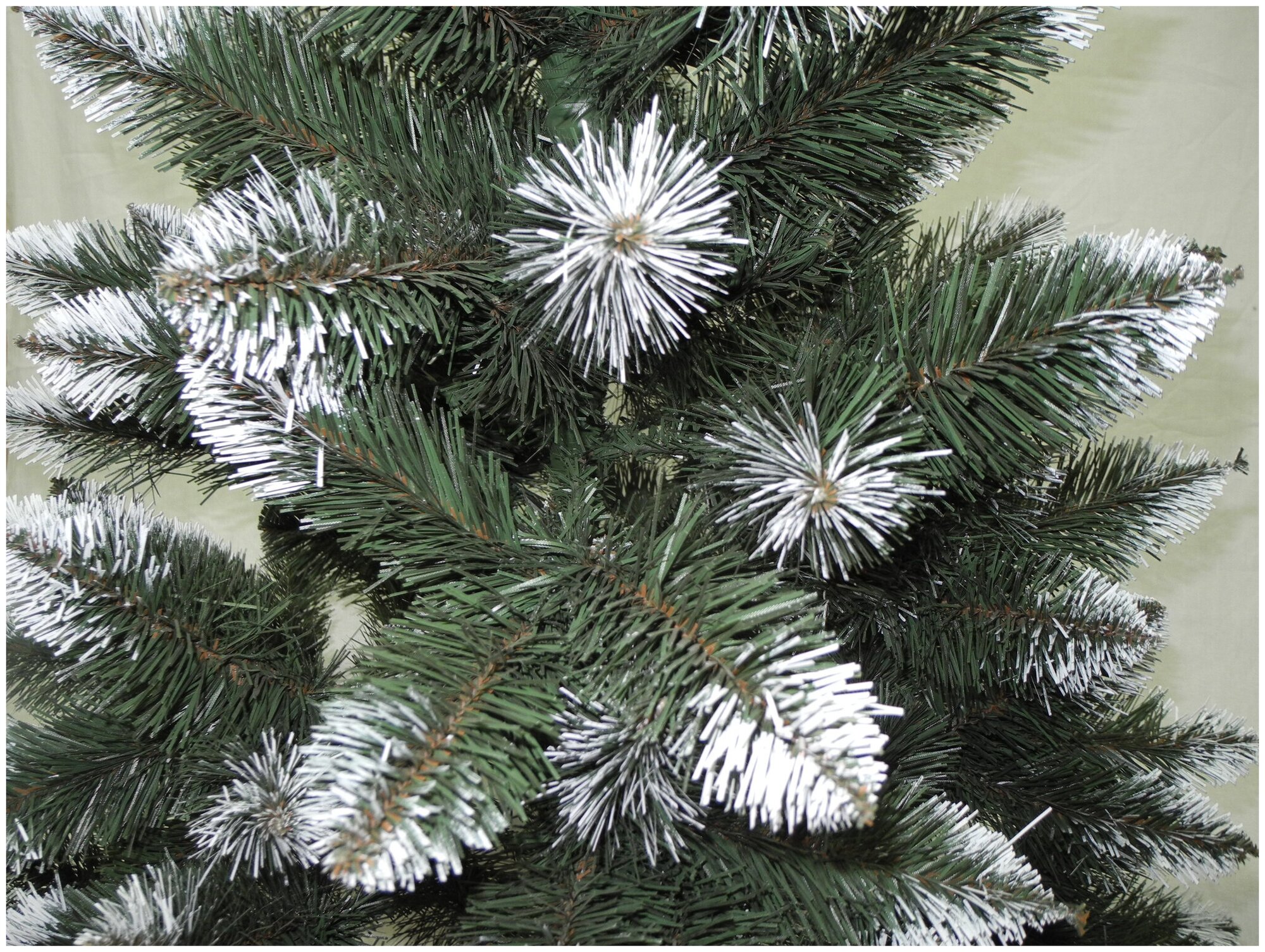 Ель лидия 220 — фото 1