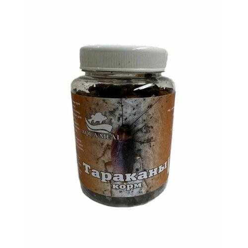 Таракан сушеный лакомство для грызунов, черепах, птиц, крупной рыбы, ежей. ящериц