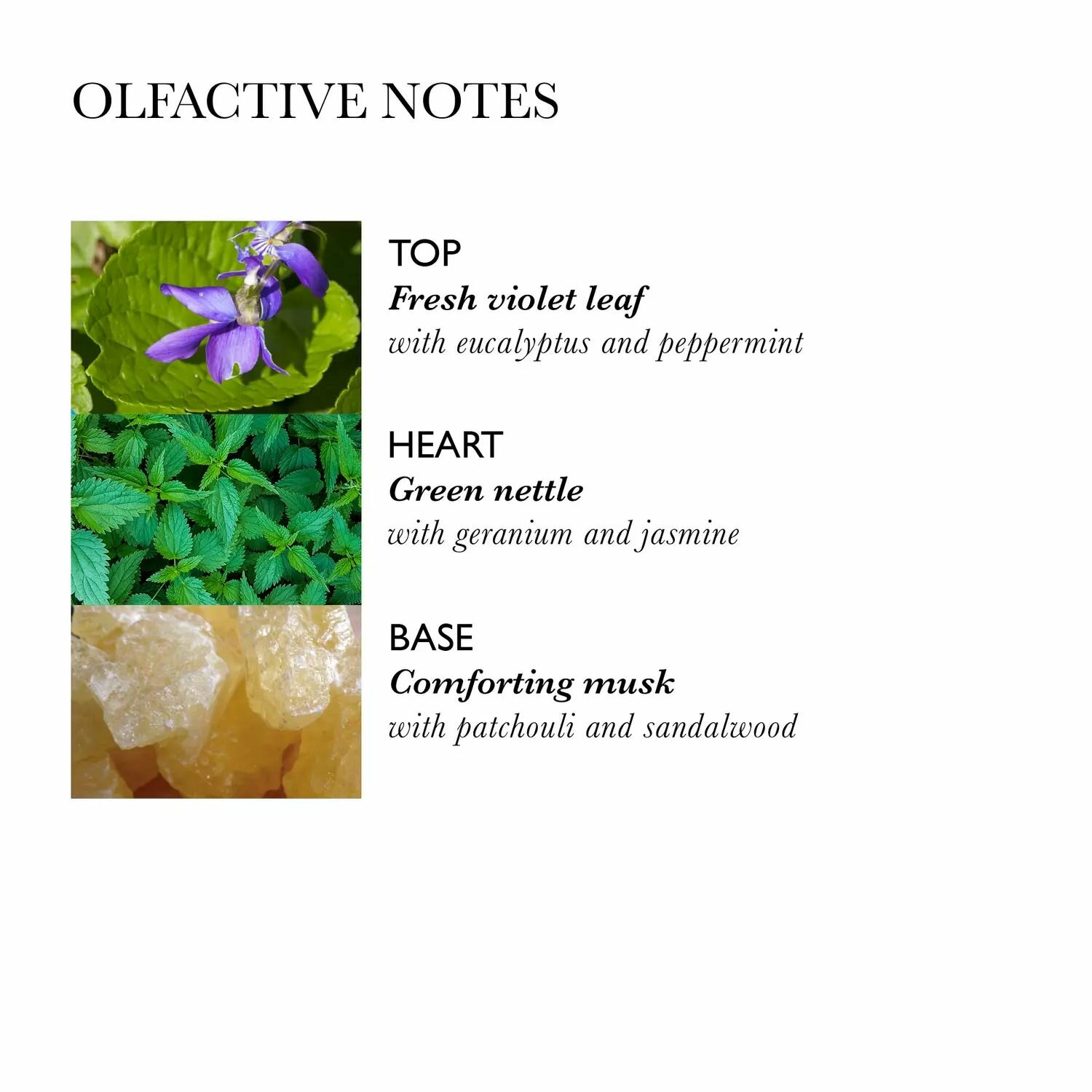 Кондиционер для волос Molton Brown Volumising Conditioner with Nettle 100 мл. — фото 1
