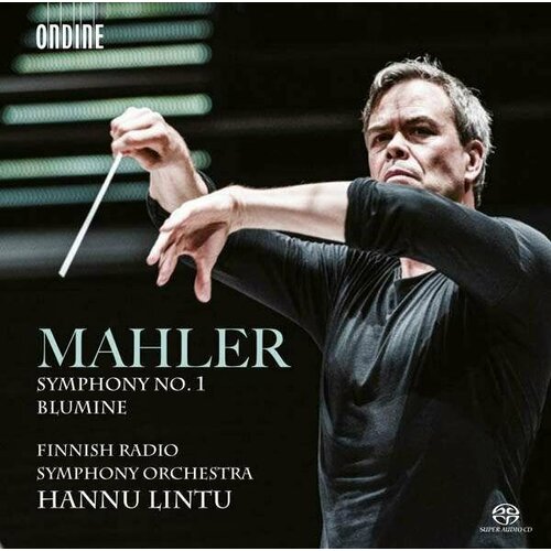 Audio CD Gustav Mahler (1860-1911) - Symphonie Nr.1 (1 CD) audio cd gustav mahler 1860 1911 symphonie nr 1 1 cd