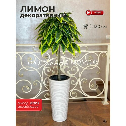 Искусственное дерево лимон