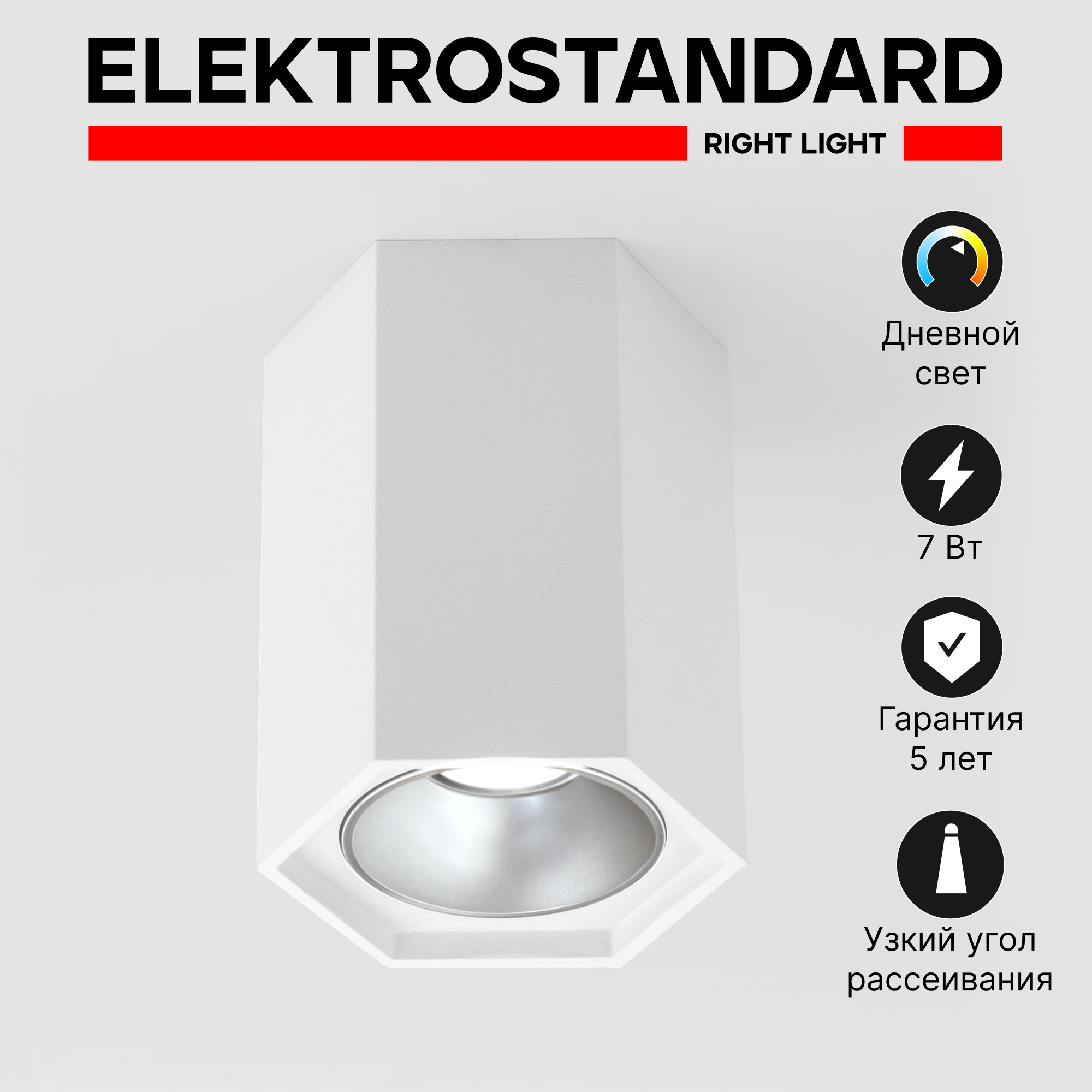 Спот / Накладной потолочный светодиодный светильник Elektrostandard 25036/LED25036/LED 7W 4200K белый матовый / серебро