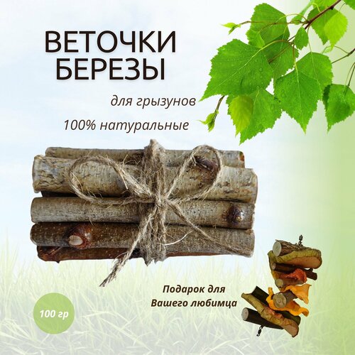 Лакомство для грызунов , Веточки палочки березы для грызунов и птиц