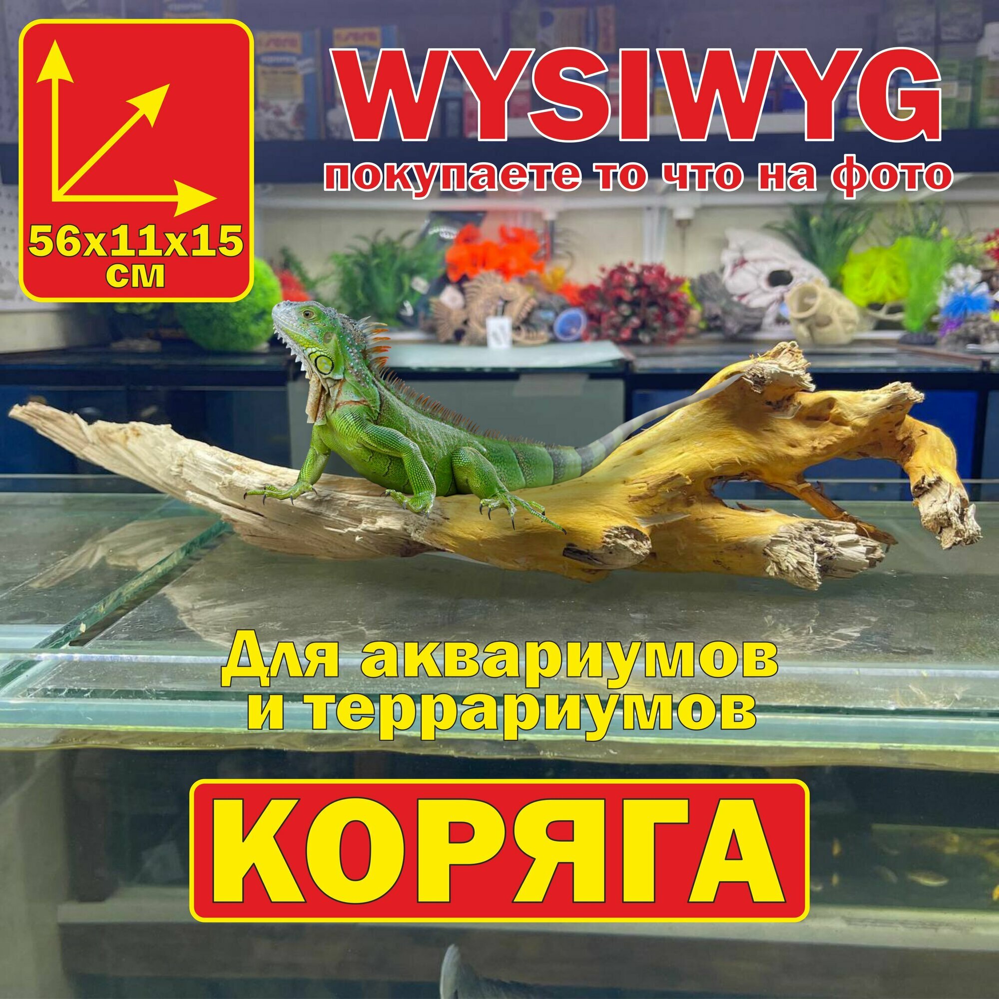 Коряга натуральная для террариума и аквариума 56х11х15 см/ природная декорация