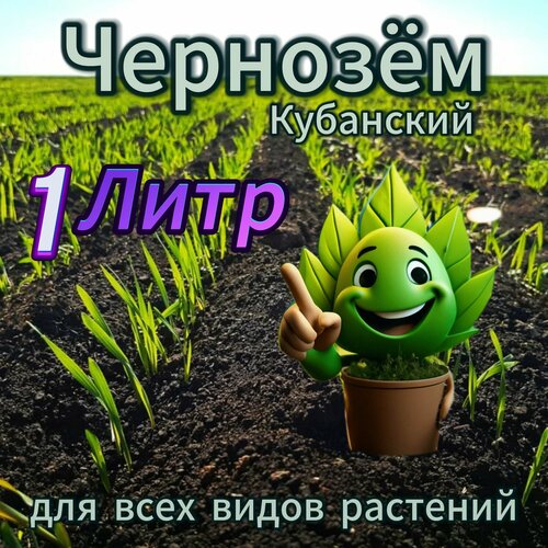 Чернозём 1 литр