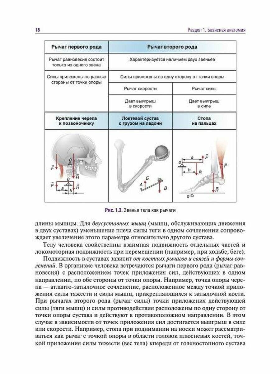 Головные и лицевые боли. Миофасциальный релиз - фото №6