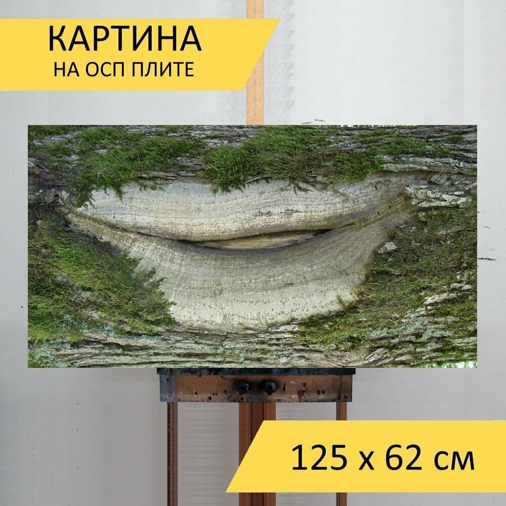Картина на ОСП "Лес, дерево, дуб" 125x62 см. для интерьера на стену