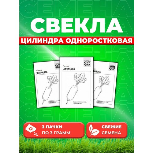 Свекла Цилиндра одноростковая, 3,0г, Гавриш, Б/П (3уп) семена свекла цилиндра одноростковая 3 0г гавриш белые пакеты 20 пакетиков