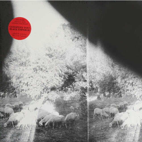 Godspeed You Black Emperor Виниловая пластинка Godspeed You Black Emperor Asunder Sweet And Other Distress 5616₽
