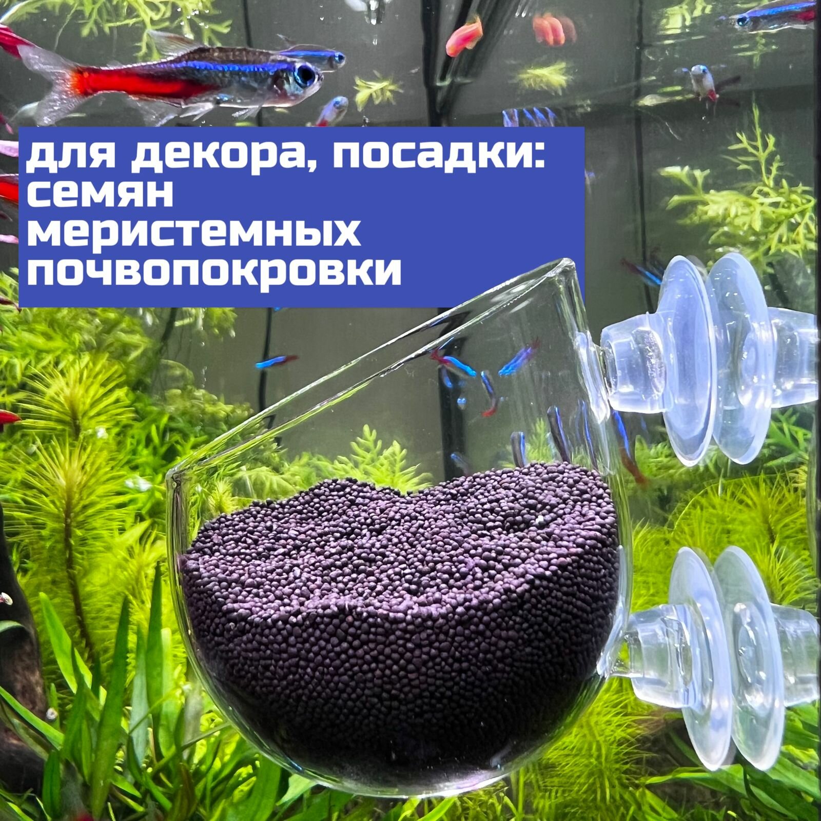 фото Горшок для аквариумных растений, декорация горшочек для аквариума