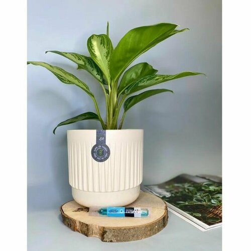 Горшок / кашпо для цветов Бета 4 л; d18,5 h17,5 см, ванильный