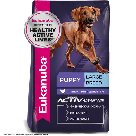 EUKANUBA PUPPY LARGE BREED 3 кг сухой корм для щенков крупных пород (1+1)