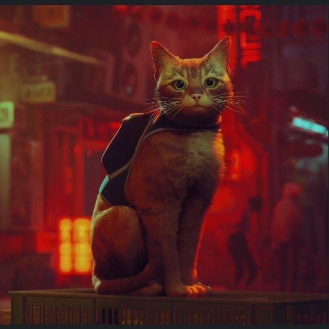 Игра Stray , для Ps5 , лицензионный диск. Русская версия. — фото 1