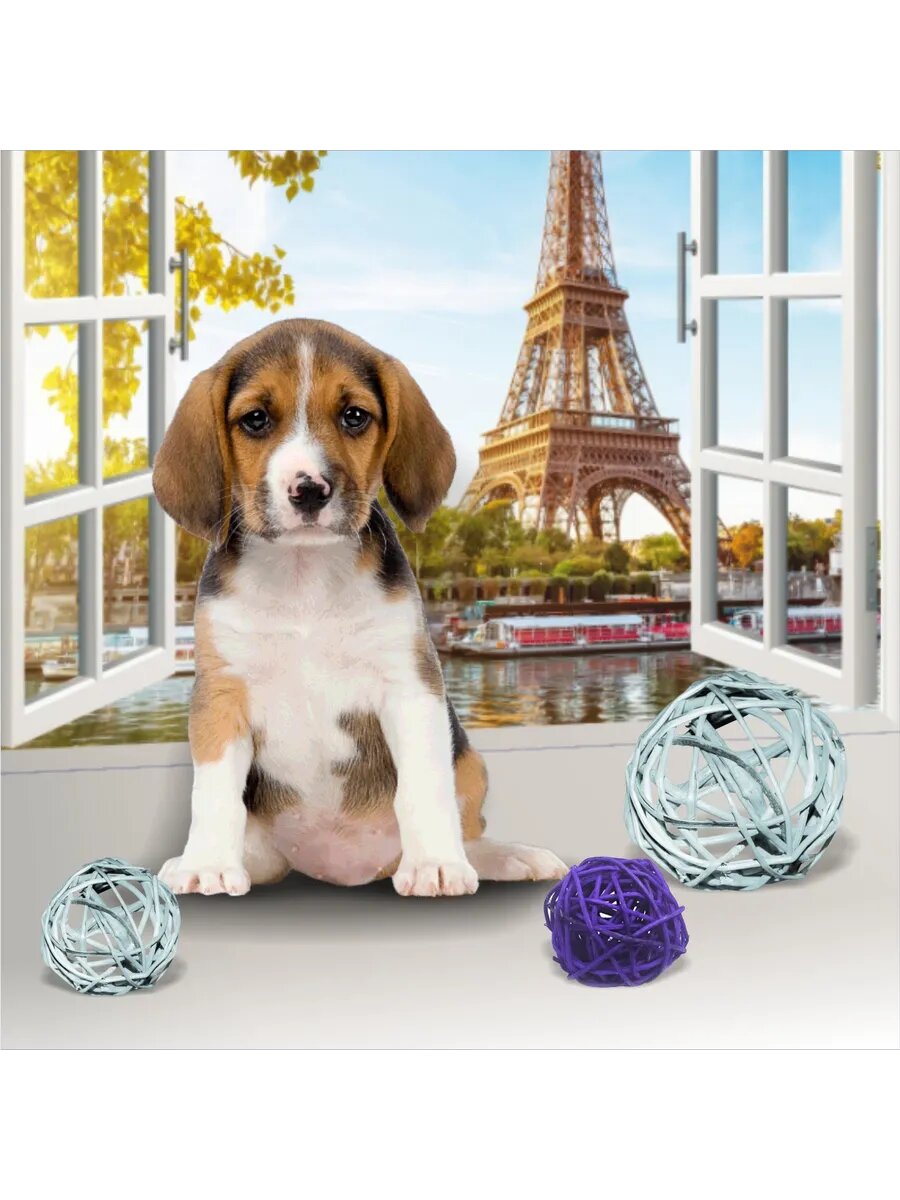 Фотофон со стойкой 60 х 120 см — фото 1