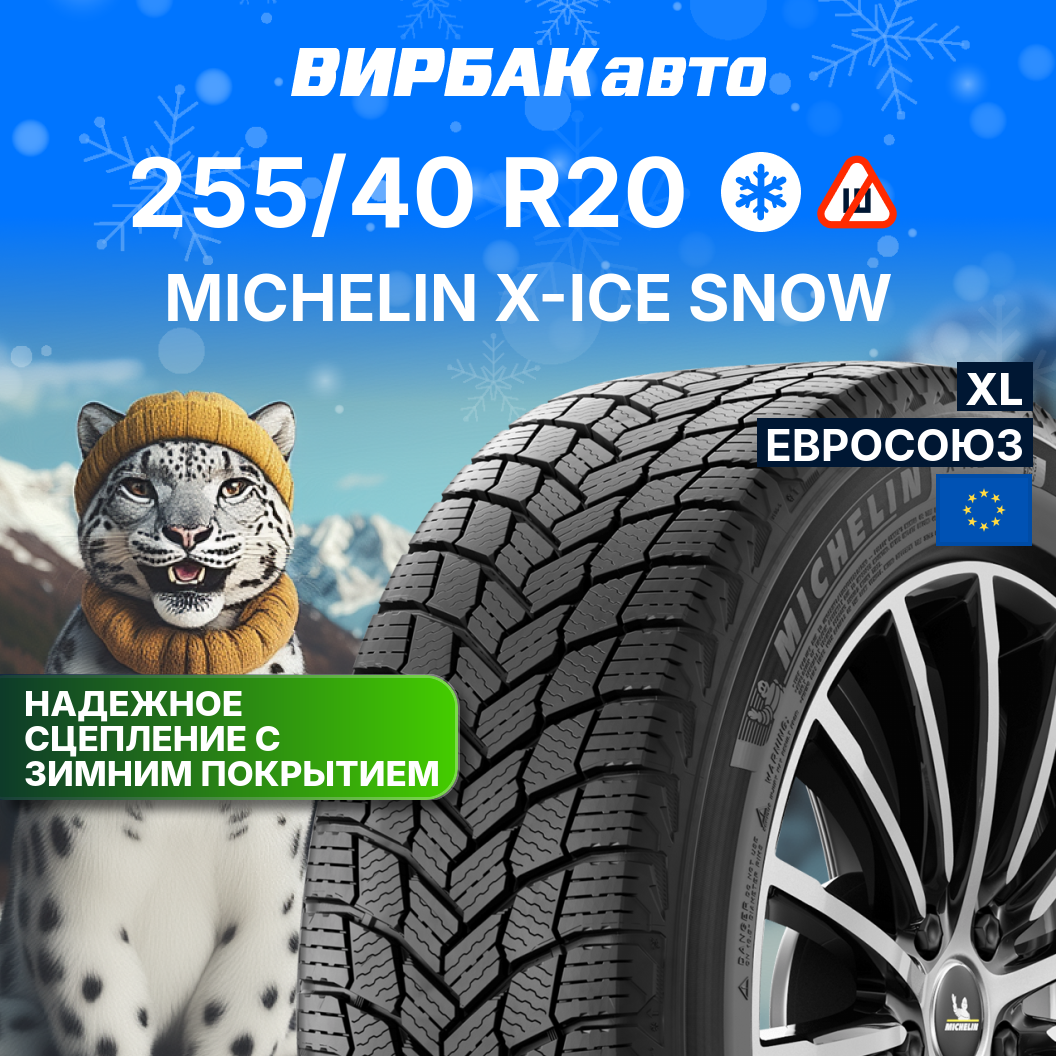 Зимняя шина Michelin - фото №1
