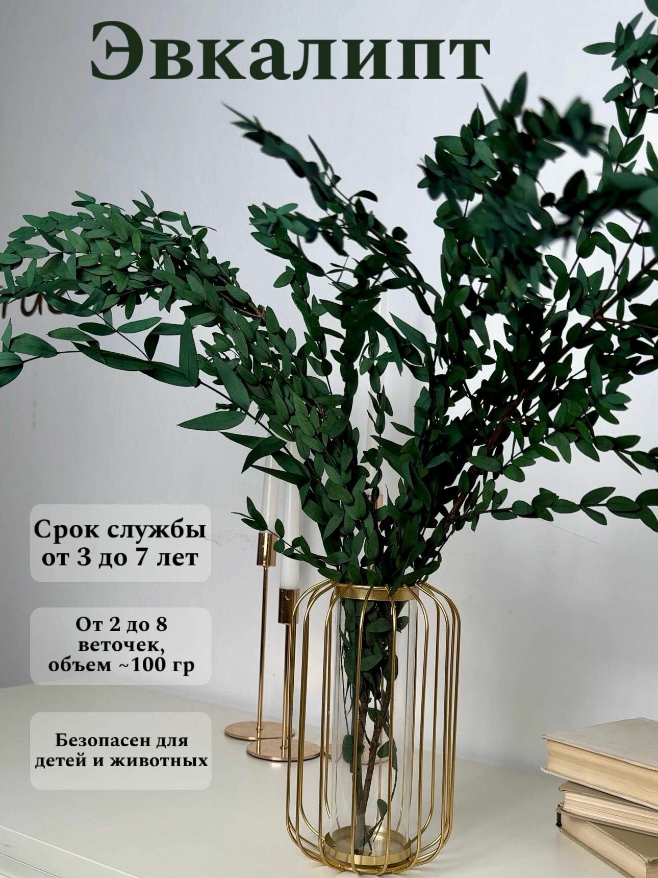 Натуральные стабилизированные сухоцветы эвкалипт декора