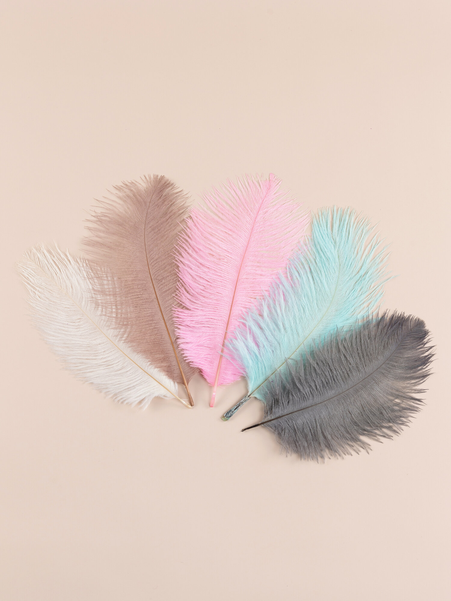 Перья страуса для творчества 5 шт. голубой розовый белый коричневый серый