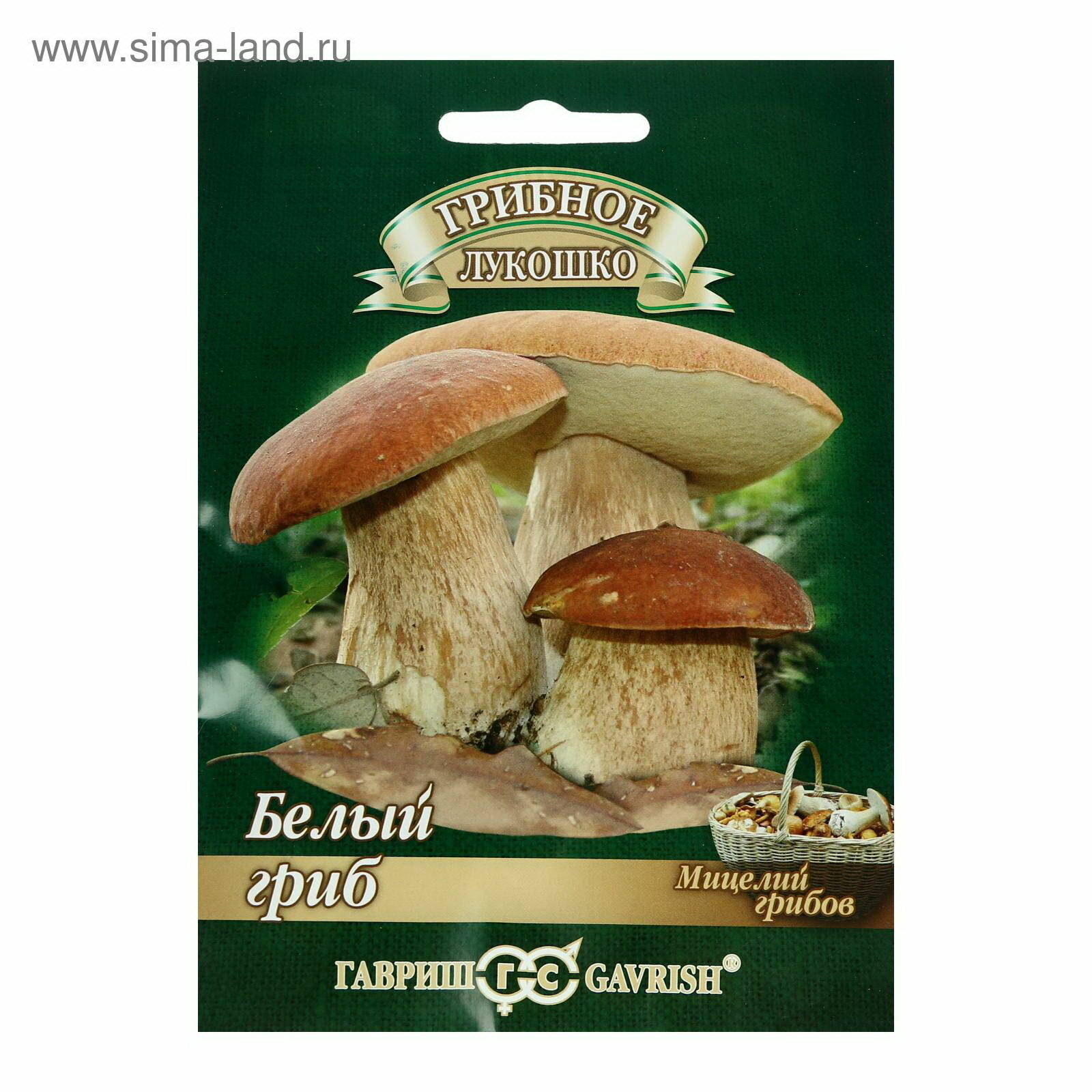 Семена Мицелий 