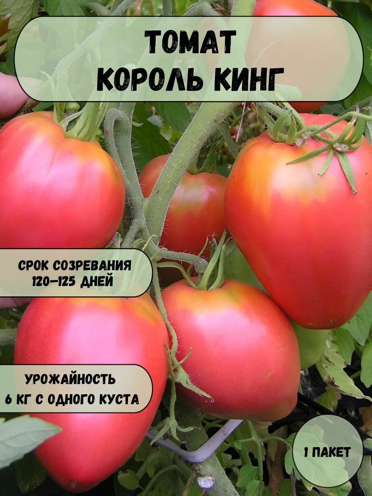 Коллекционные семена томата Король Кинг семена 10 шт