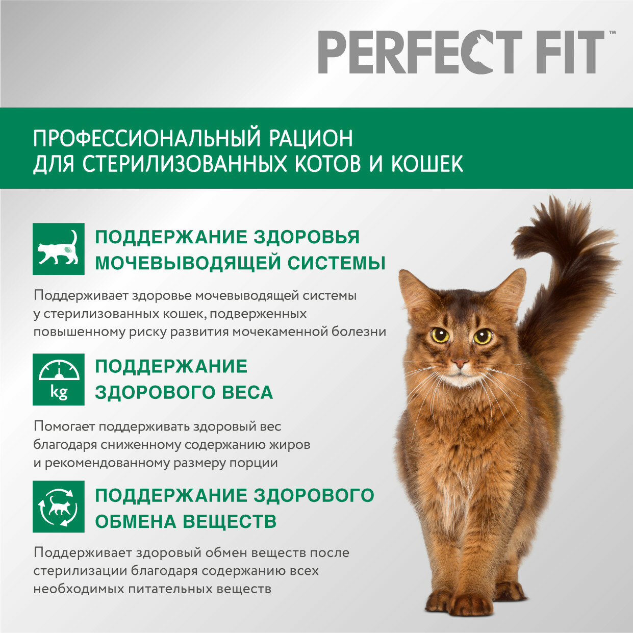 Perfect Fit Сухой корм для стерилизованных кошек с говядиной, 650 г - фото №4