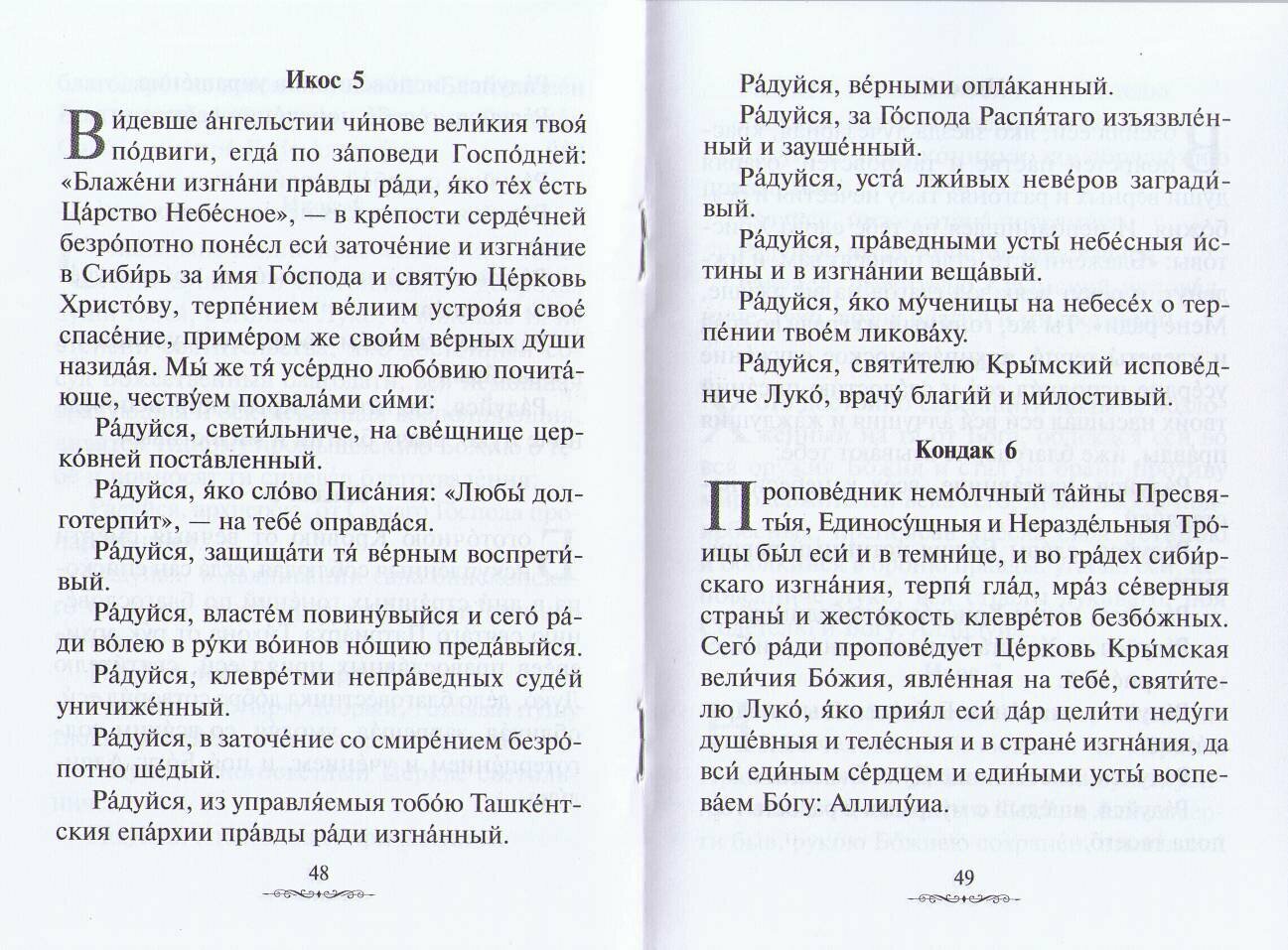 Святые врачи, целители, бессребреники. Жития и акафисты - фото №7