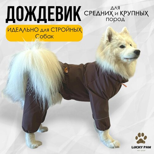 Непромокаемый комбинезон-дождевик для собак средних и крупных пород