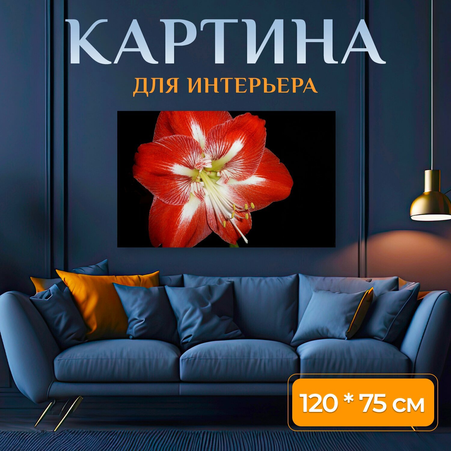 Картина на холсте "Амариллис, цветок, красный" на подрамнике 120х75 см. для интерьера