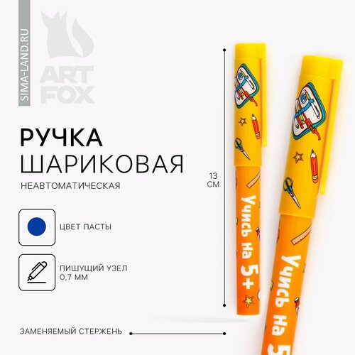 Ручка пластик с колпачком Учись на 5 10шт 642₽