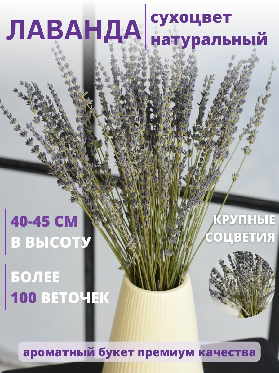 Лаванда сухоцветы Trava Decor букет сухоцветов