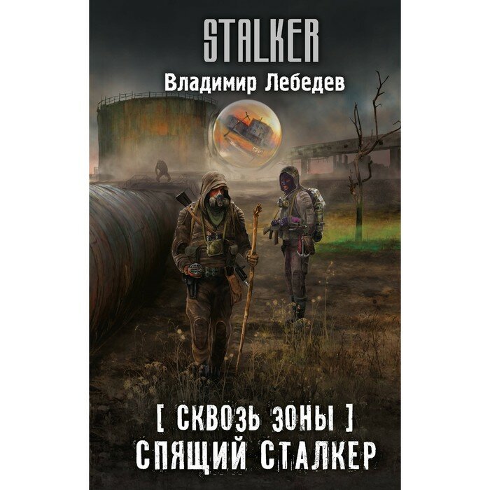 Сквозь Зоны. Спящий сталкер (Лебедев Владимир Владимирович) - фото №10
