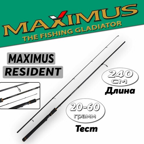 Спиннинг для рыбалки Maximus RESIDENT 24H 2,4m 20-60g
