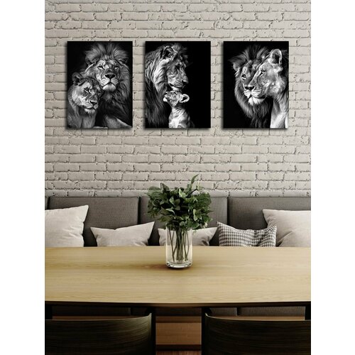 Картина на холсте LOFTime 30х40 3 шт ЛЕВ львица львенок К-663-3040