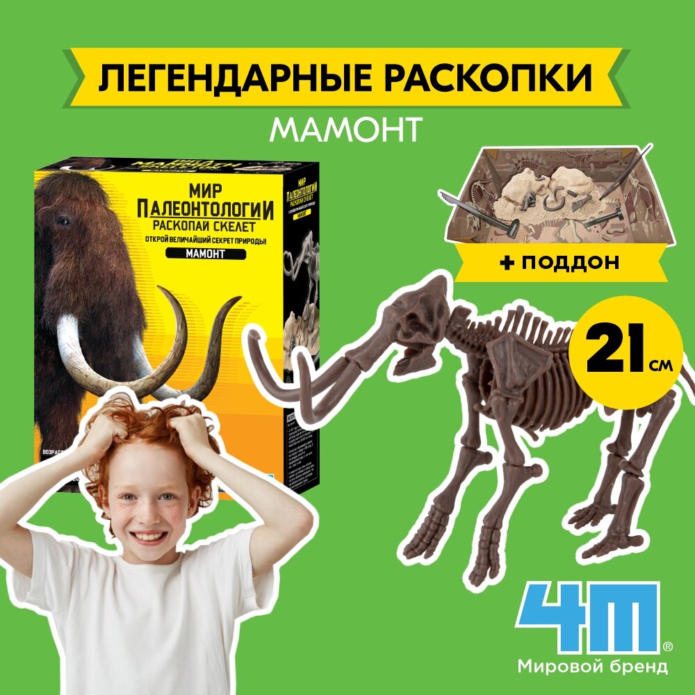 Набор 4M 00 03236 Раскопай скелет мамонта   Геологические раскопки   Скелет динозавра