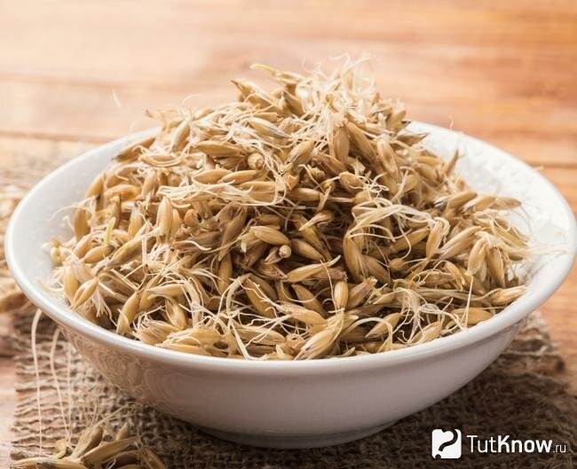 Порошок коктейль детокс натуральный белковый, ЭКО овсяной GREEN MAGIC, без сахара, без ГМО, 280 г — фото 1