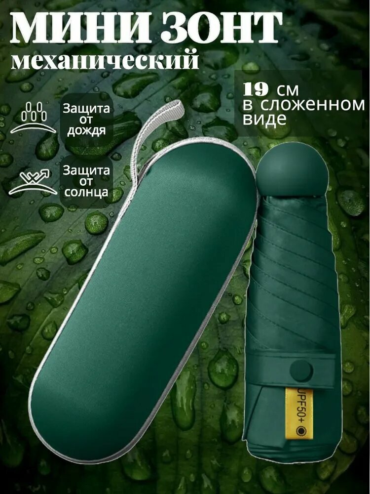 Зонт