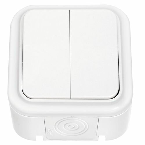 Выключатель 2-клавишный брызгозащищенный IP54 о/у Bylectrica Пралеска белый